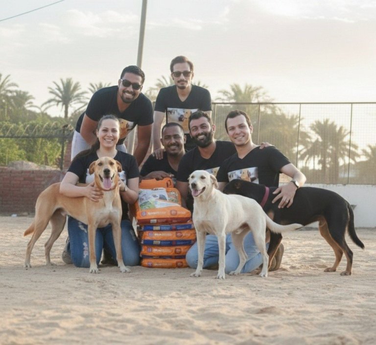 Animal welfare stars